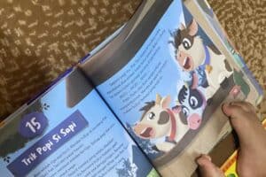 livres pour apprendre les emotions aux enfants 1